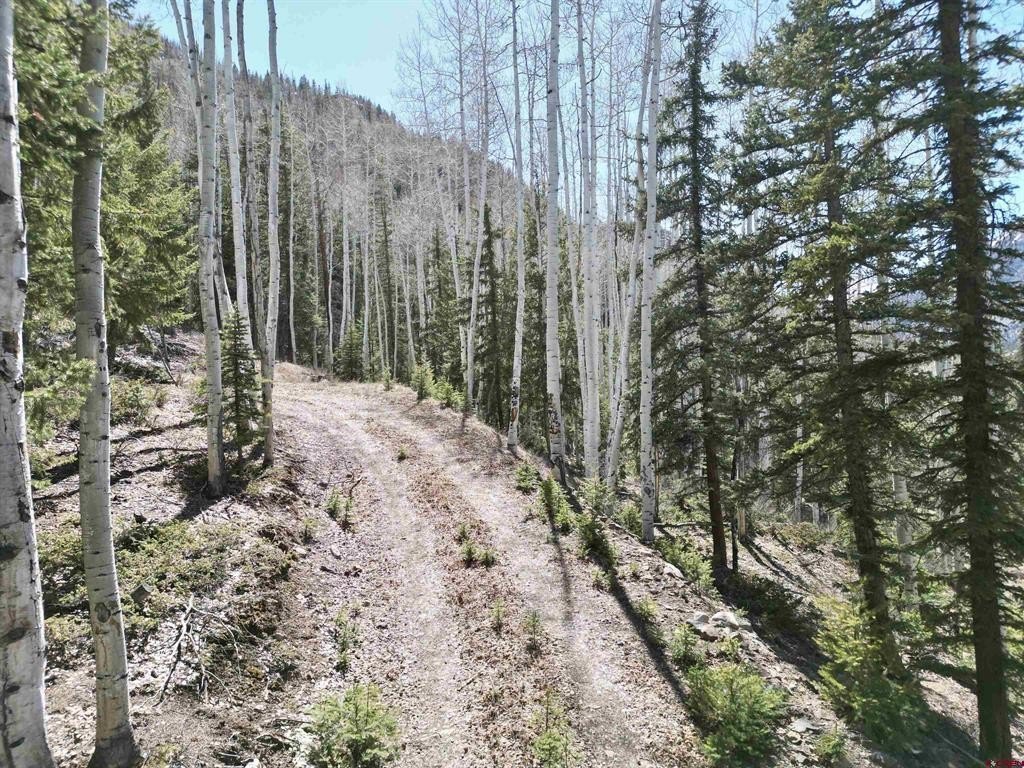 Picture 30