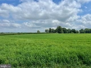 Prime Land Near University