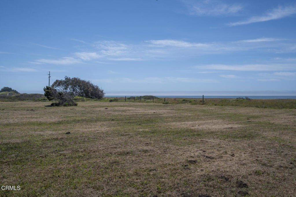 Picture 24