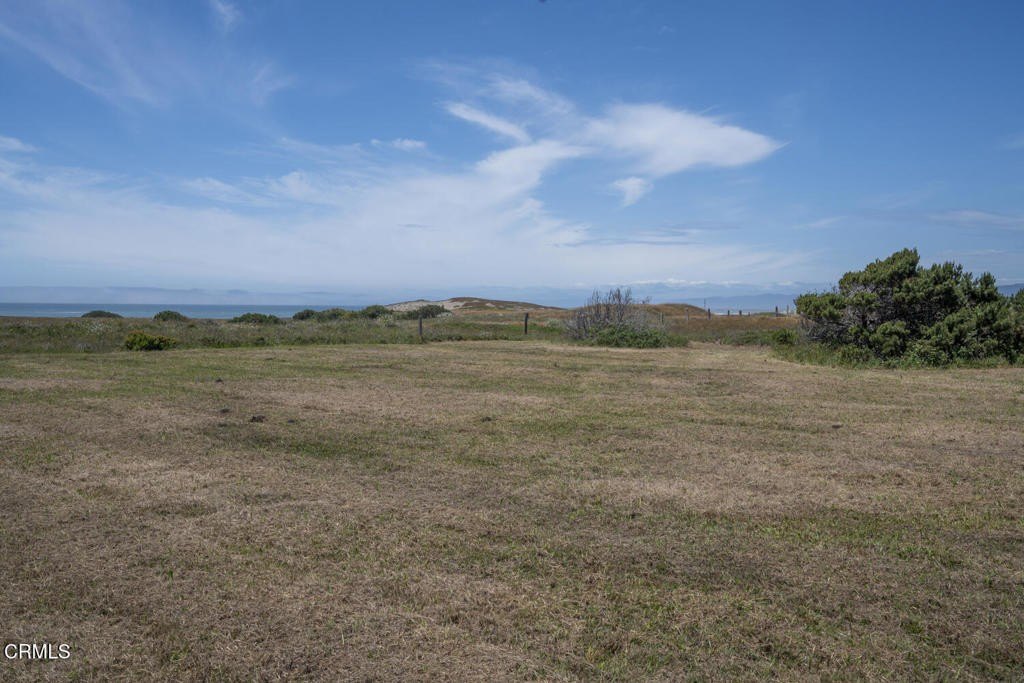 Picture 25
