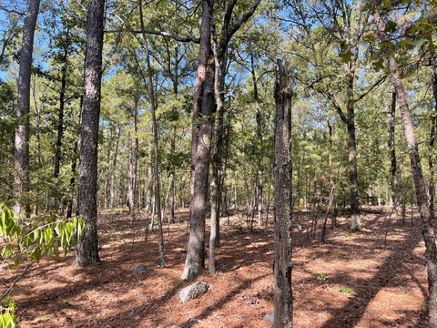 Wooded Recreational Land Tract