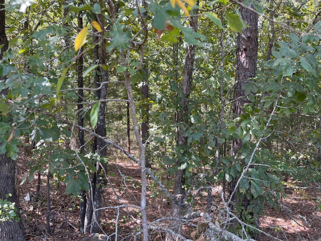 Picture 19