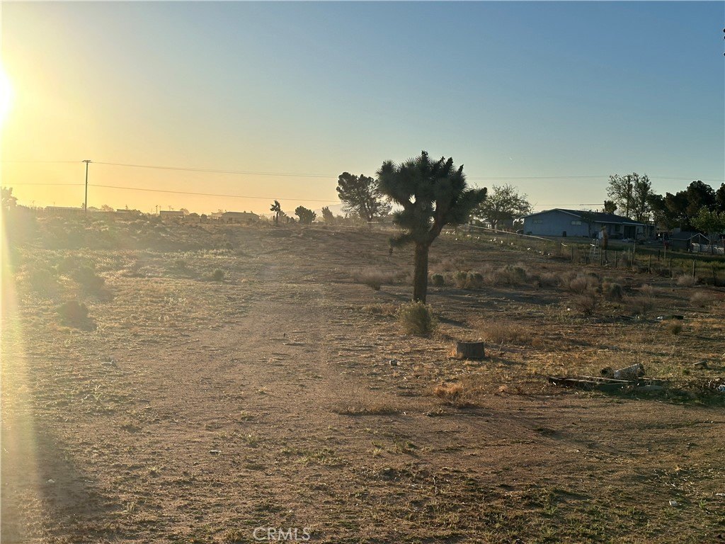 Picture 13