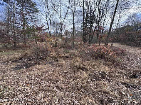 Acre Lot with Septic System