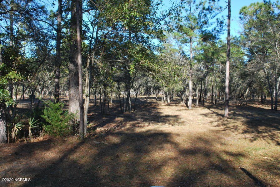 Picture 5
