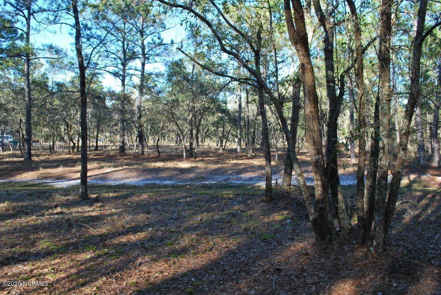 Picture 7