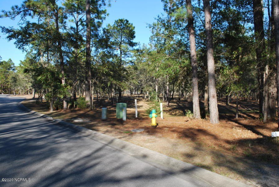 Picture 6