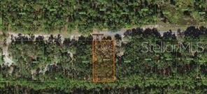 Wooded Lot Near Lake Weohyakapka