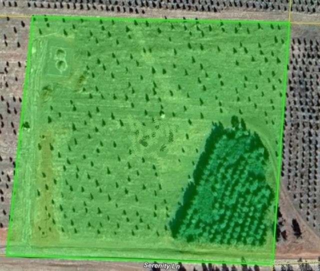 Picture 4