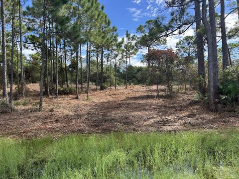Port St. Joe Land Parcel