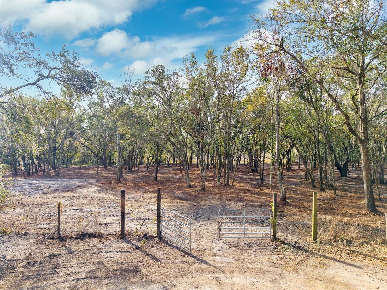 Plant City Land For Sale
