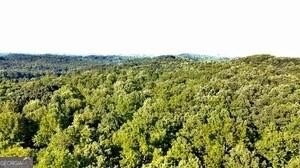 39.81 Acres Prime Dawsonville Land