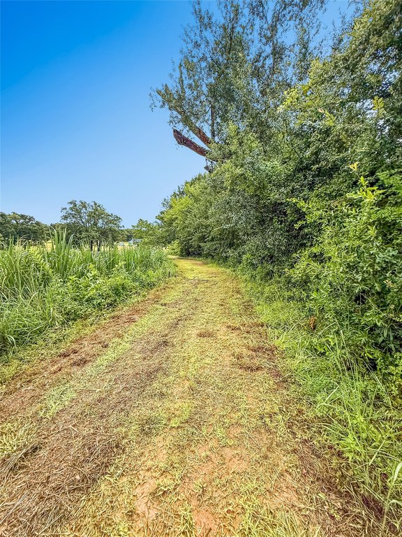 Picture 8