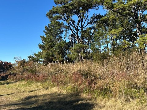 Chincoteague, VA Land Opportunity
