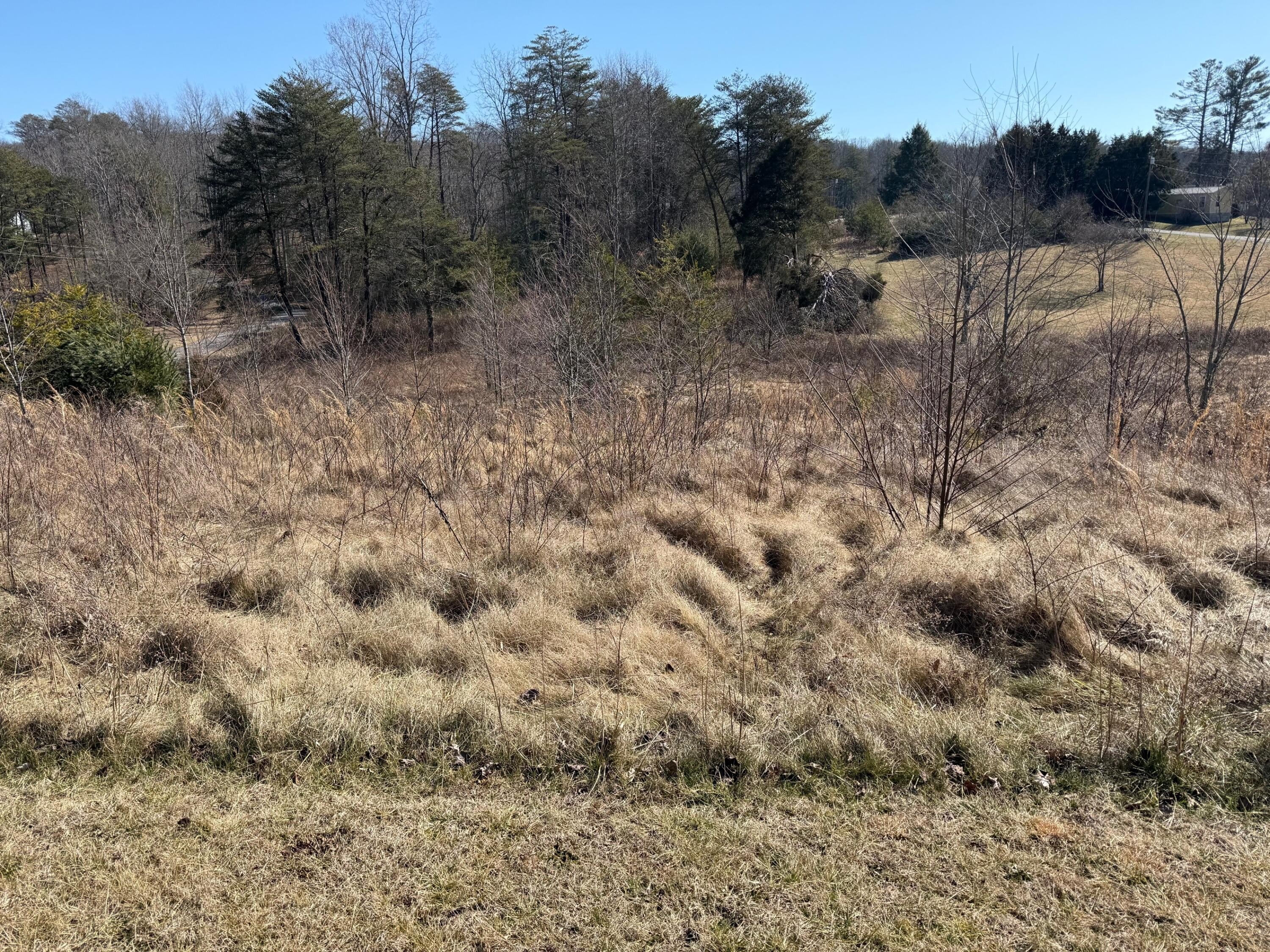 Land in Cumberland Mountain Retreat