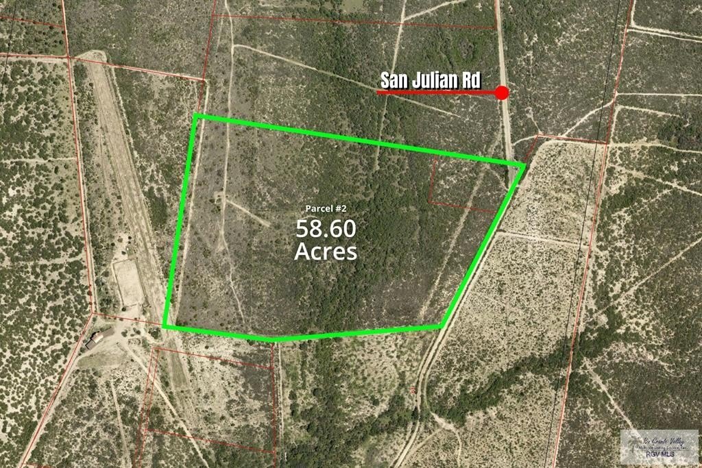Roma, TX Agricultural Land