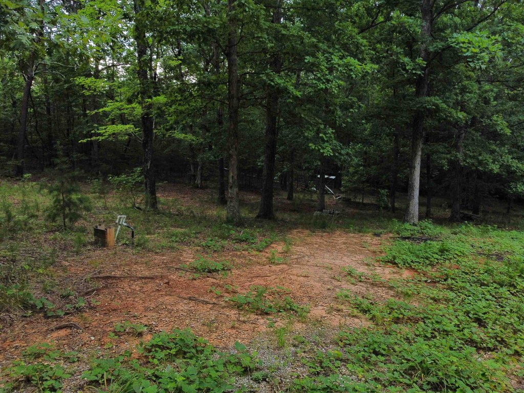 Picture 9