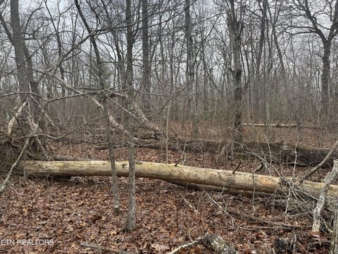 Level Wooded Lot Near Lake