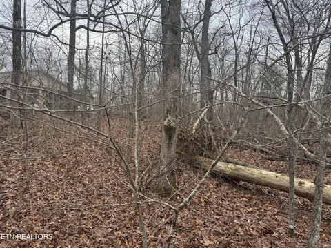 Level Wooded Lot Near Lake