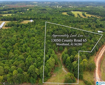 LAND/LOTS, WOODLAND, AL