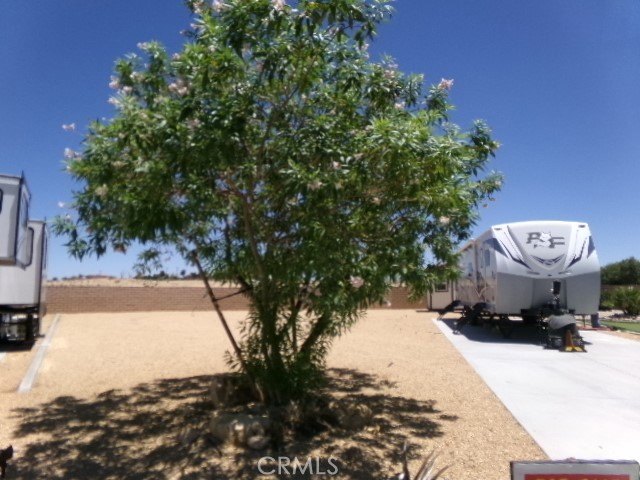 Picture 4
