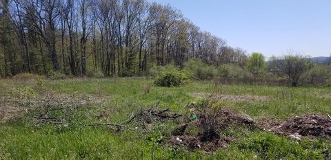 Towanda Land with Pond Site