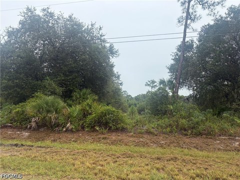 Land, Clewiston, FL