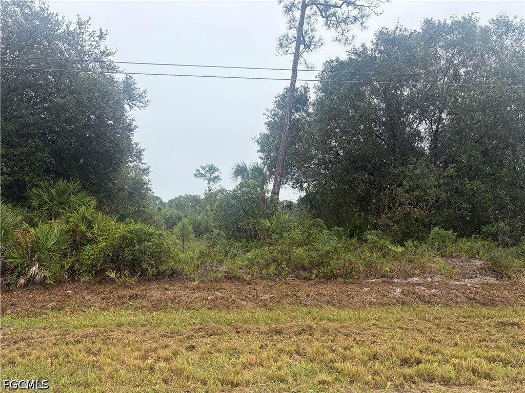 Picture 5
