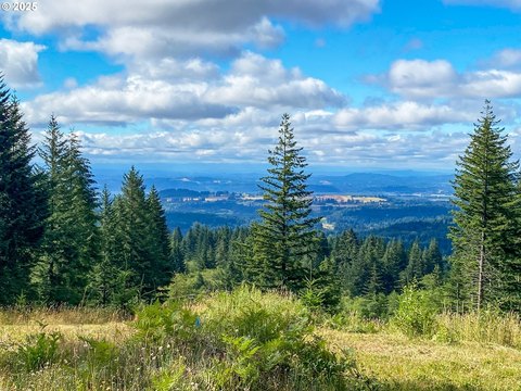 Camas View Lot For Sale