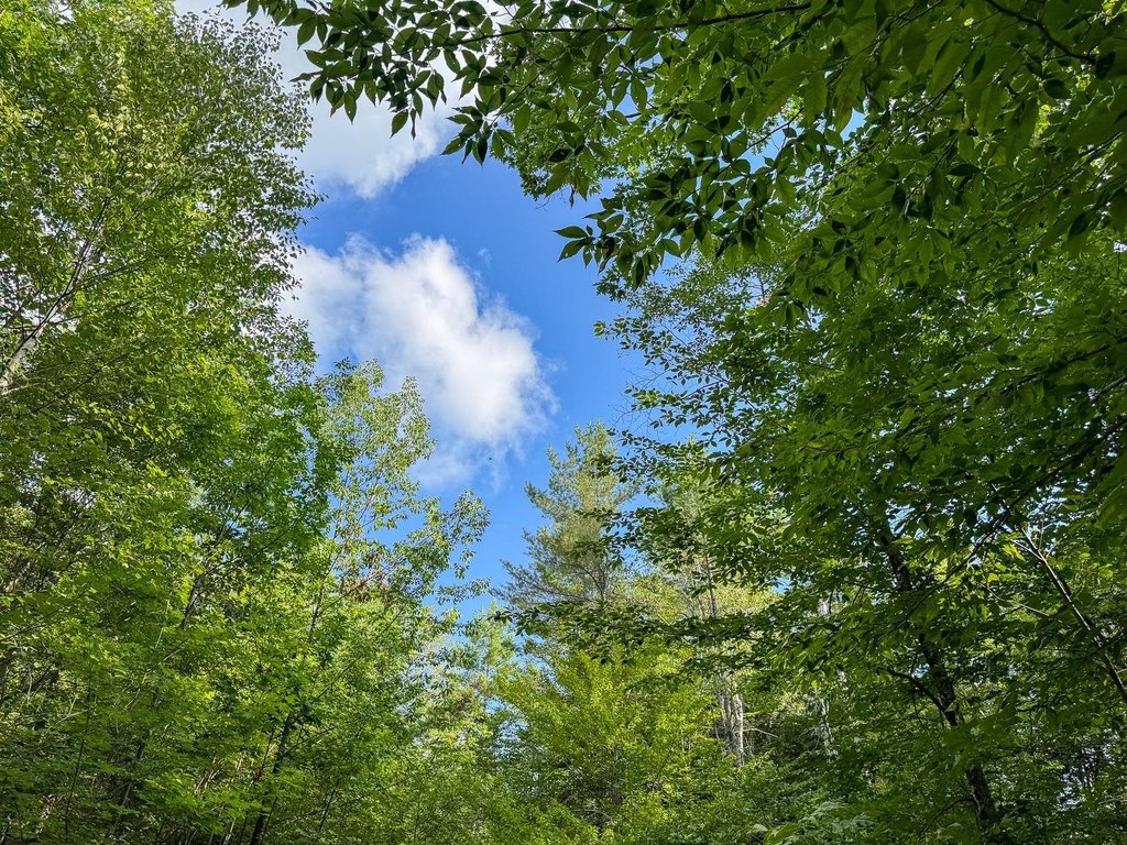 Picture 37