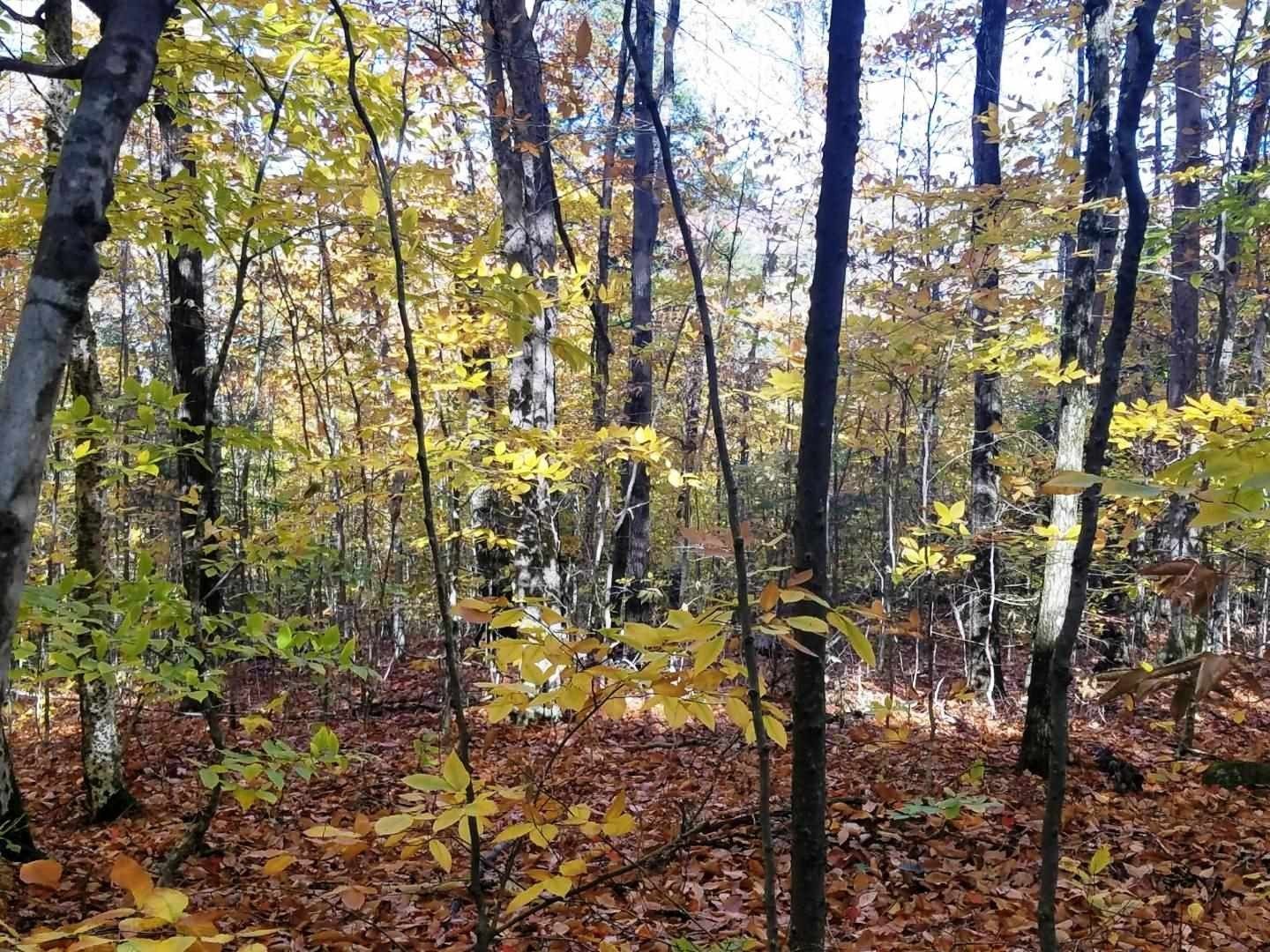 Residential Land in Campton, NH