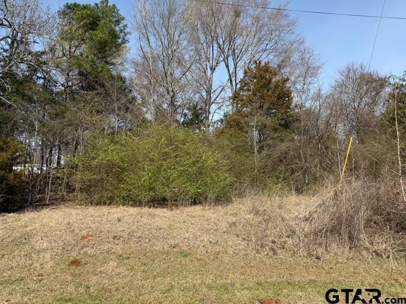 Picture 2