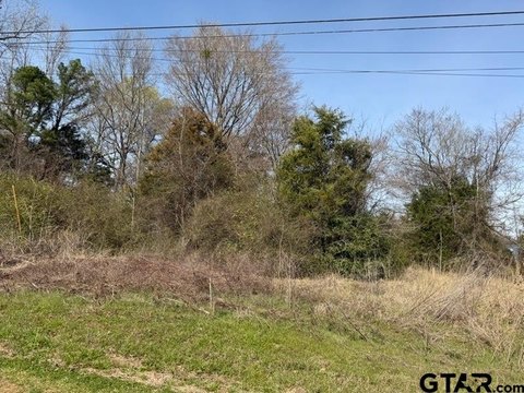 Wooded Lot in Gated Community