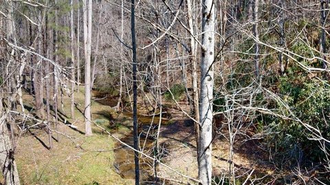 Residential Lot Backing to Creek