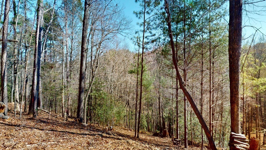 Picture 8