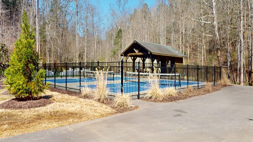 Picture 13