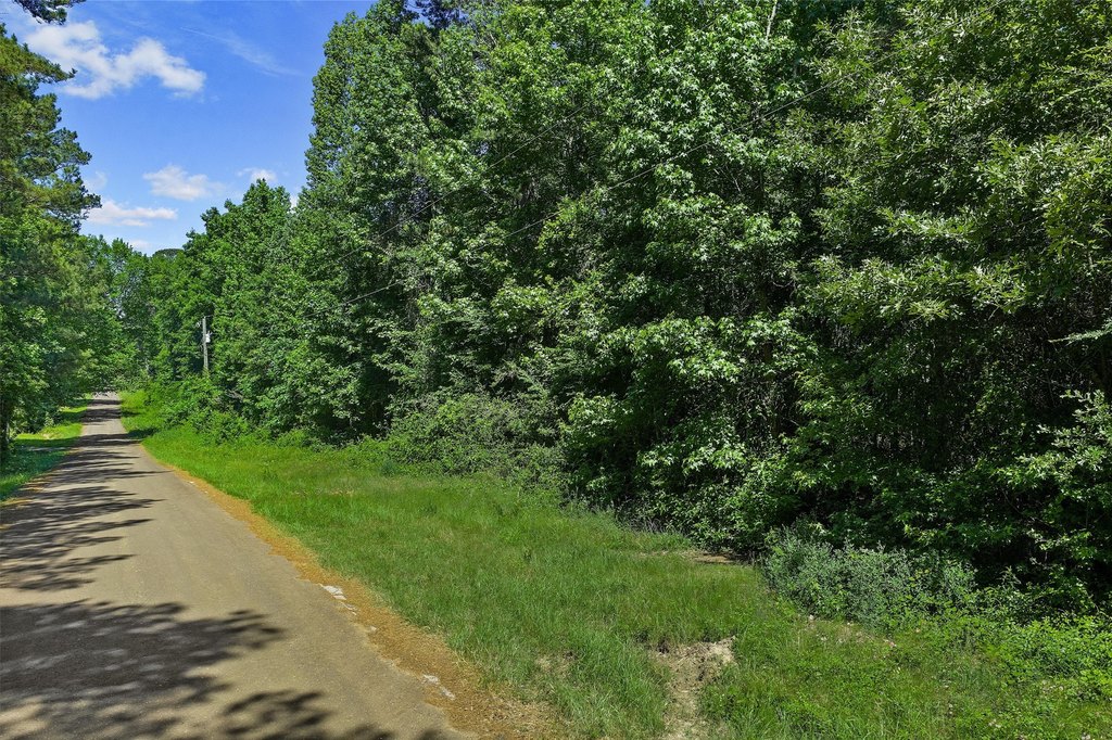 Picture 34