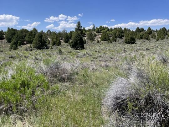 Residential Lot in Long Valley