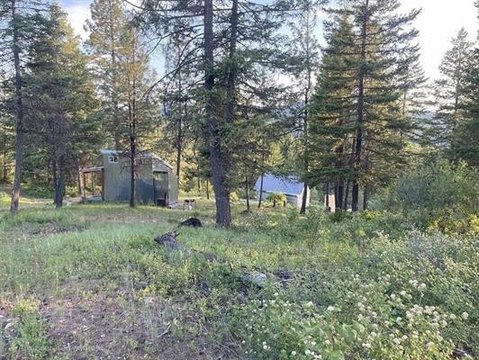 Land with Cabin and Shop