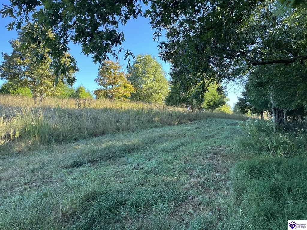 Picture 21