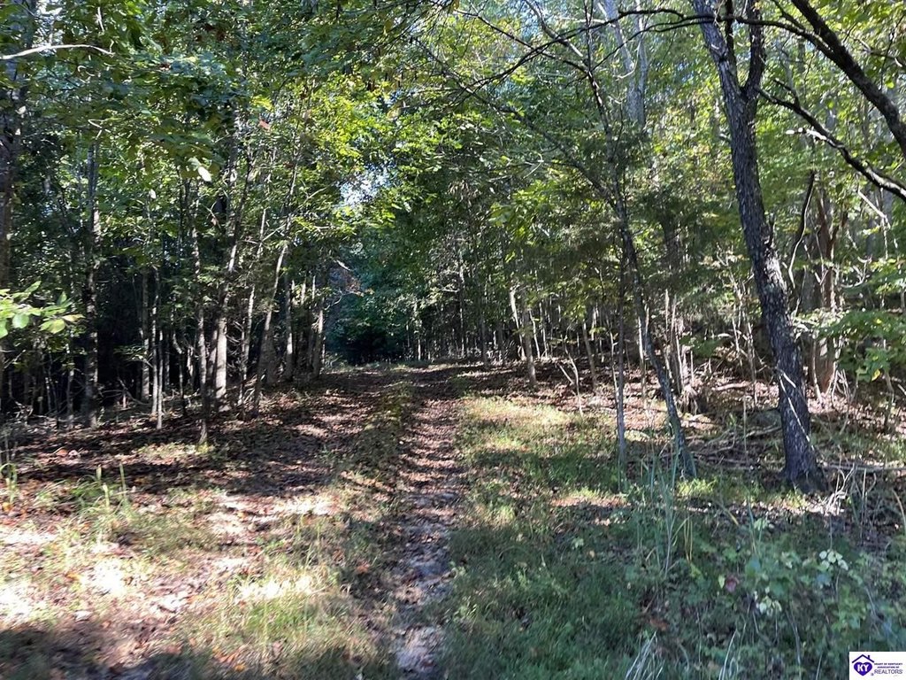 Picture 14