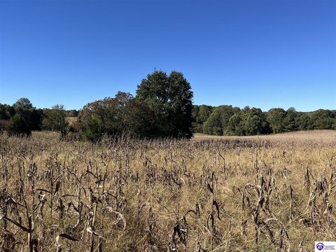Lots and Land, Bonnieville, KY