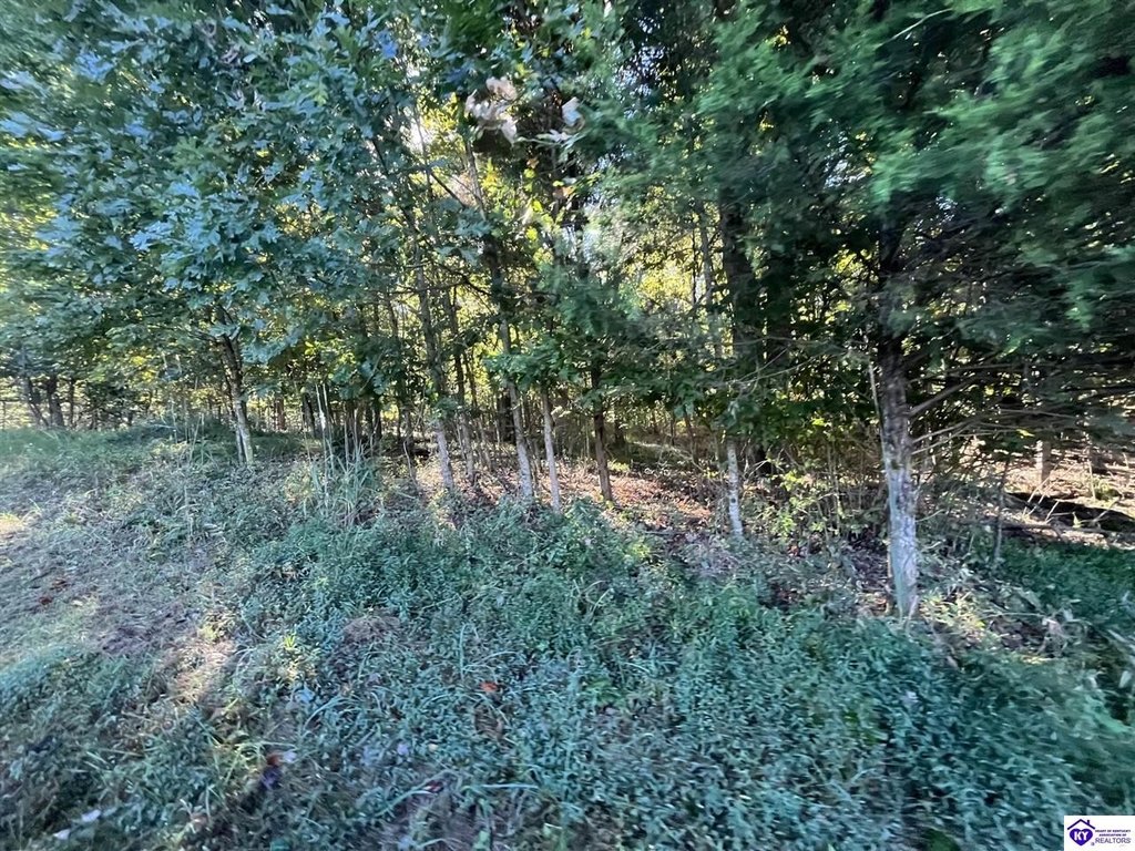 Picture 23