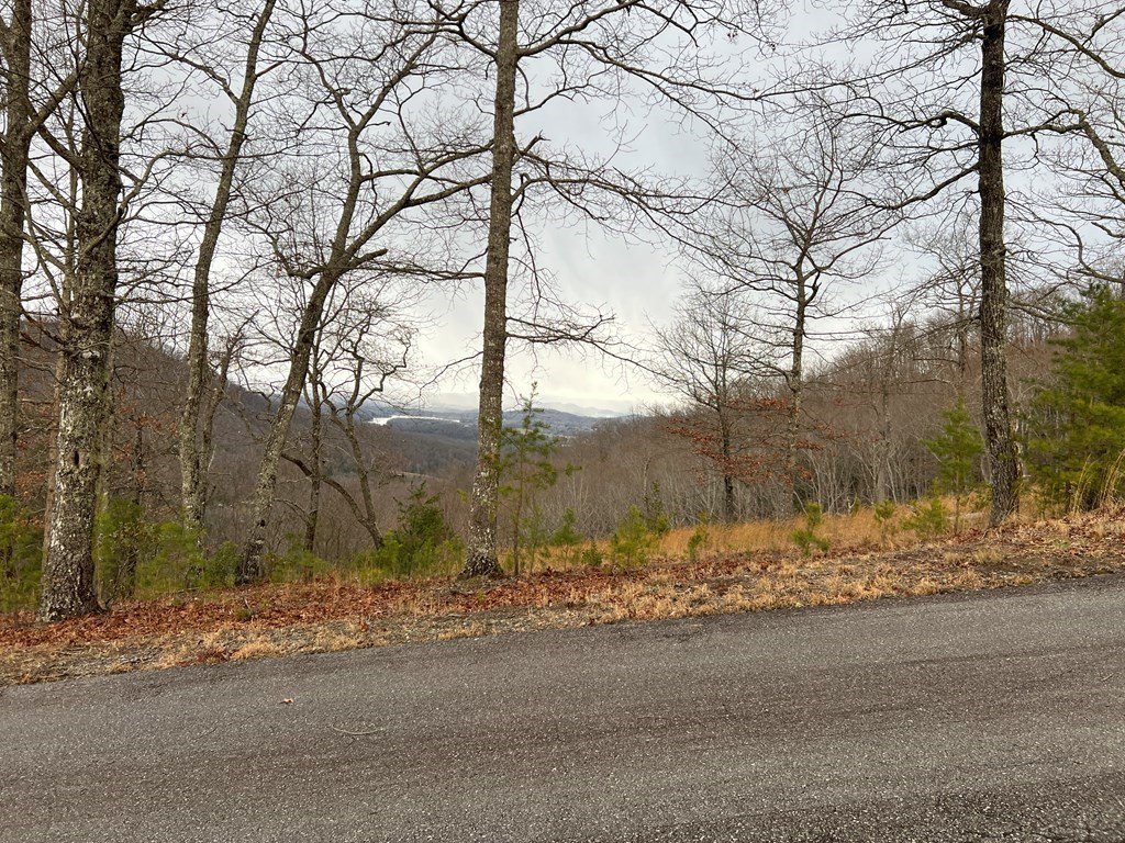 Picture 24