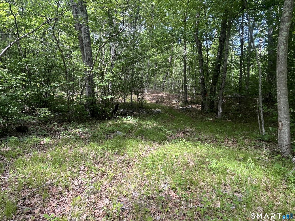 Picture 15