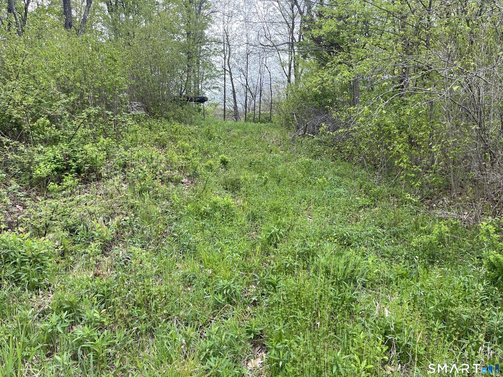 Picture 10