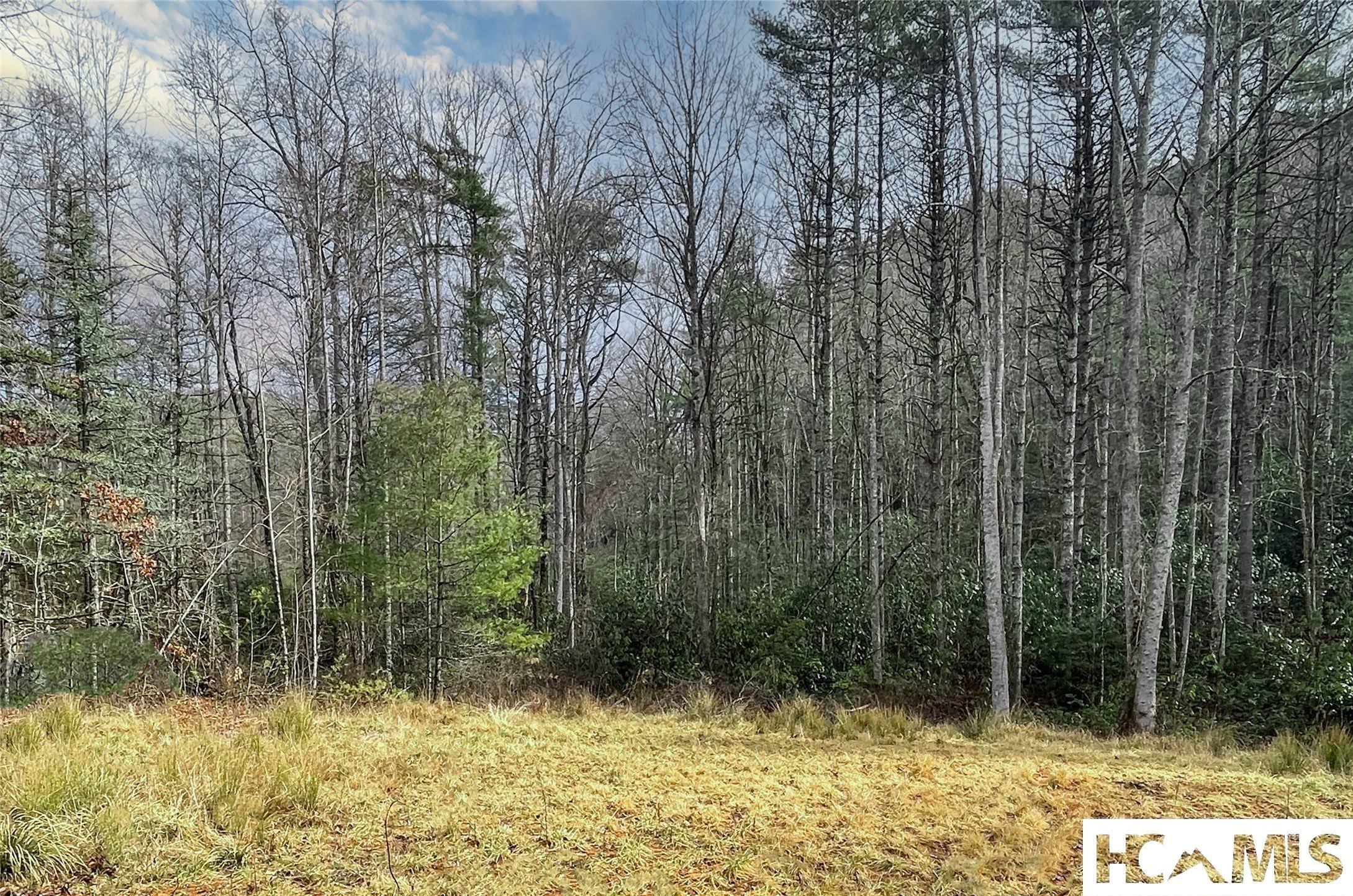 Cashiers, NC Land For Sale