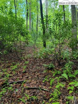 Secluded Mountain Land For Sale