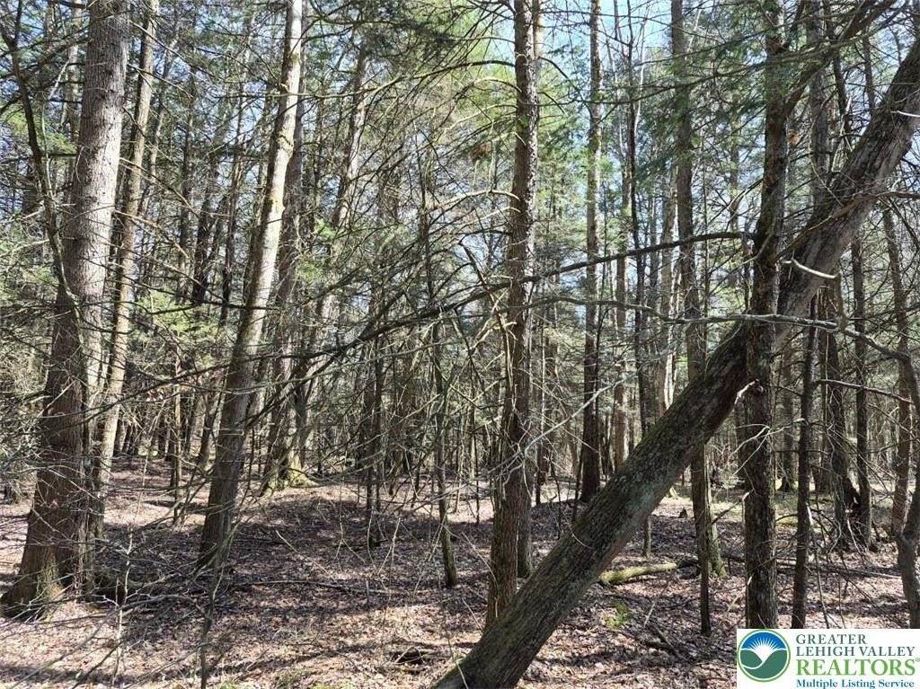 Secluded 15-Acre Wooded Parcel