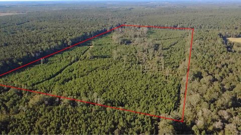 Hunting Land with Natural Stream